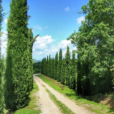 Hébergement de vacances Casa Ligustro San Quirico dʼOrcia