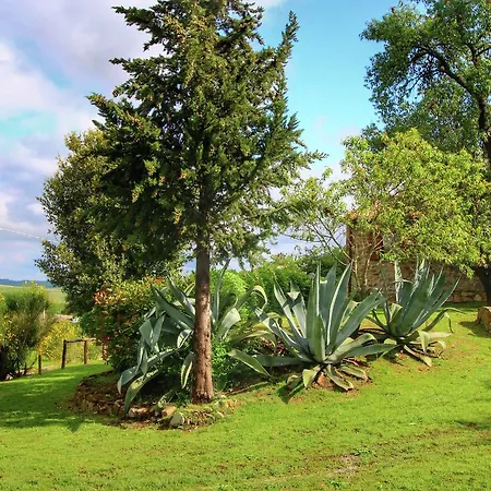 Casa de Férias In Tuscany With Patio San Quirico dʼOrcia