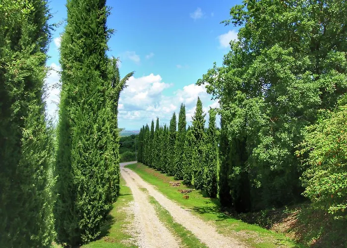 Vakantiehuis In Tuscany With Patio San Quirico dʼOrcia